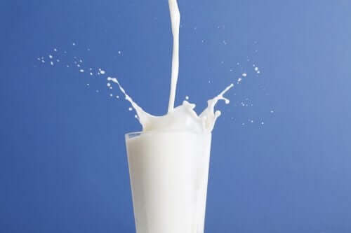 Gammaldags mjölk eller lättmjölk: vilken är bäst?