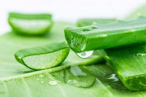 Gel från aloe vera