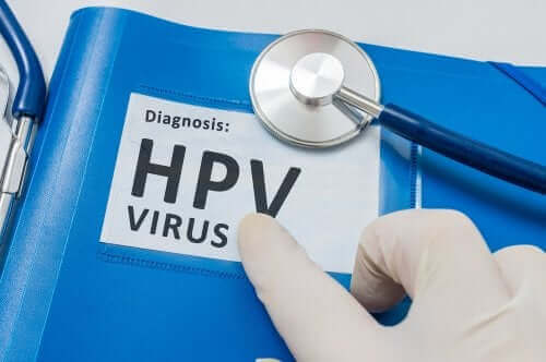 Humant papillomvirus och sex