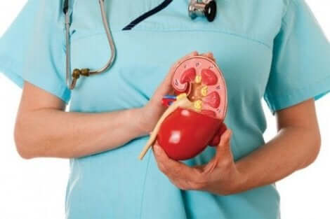 Behandling av proximal renal tubulär acidos