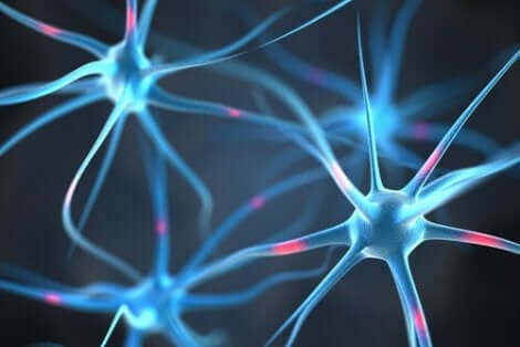 Nervceller i hjärnan