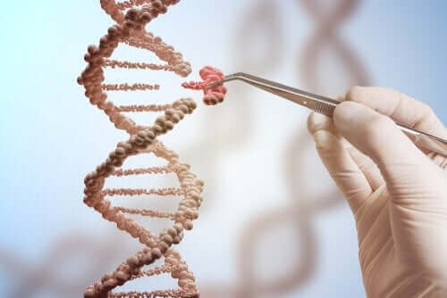 Forskare plockar ut en gen ur DNA-kedja.