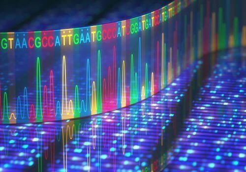 DNA i digital form