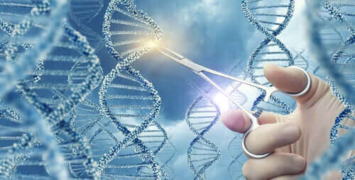 Vad är genmutationer? Olika typer och exempel