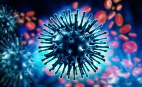 Mutationen av COVID-19 gjorde att den kunde börja överföras och smitta människor, inte bara djur.
