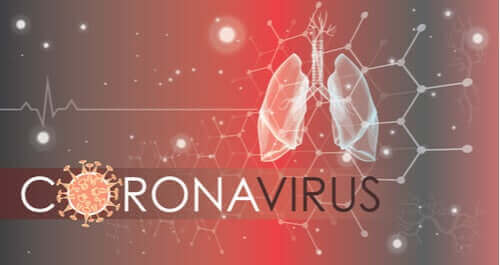 Hur coronaviruset infekterar celler i lungorna