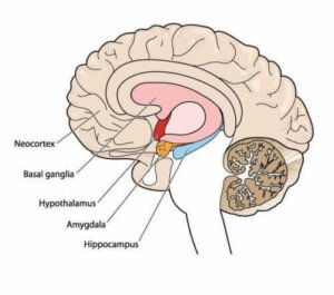 Orsaker till atetos och rörelsestörningar