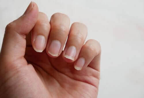 Fyra naturliga ingredienser för att behandla sköra naglar