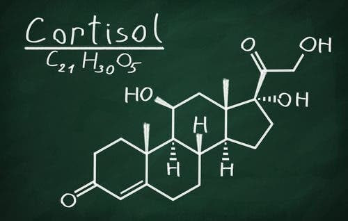 kortisol