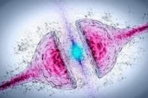 Donepezil vid Alzheimers sjukdom - effekter och varningar