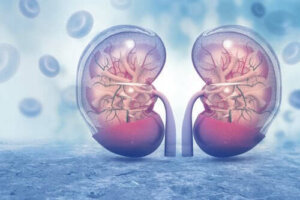Hormonet argininvasopressin - egenskaper och effekter