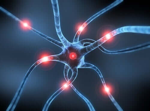 Parkinsons sjukdom neuroner i hjärnan