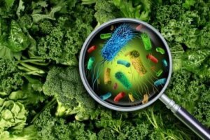 Listeria under graviditet - vad du bör känna till