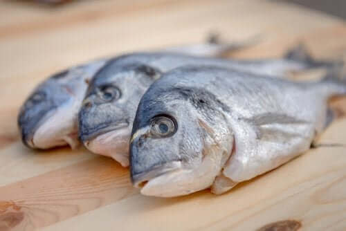 Kvicksilver i fisk - hur farligt är det?
