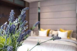 10 viktiga nycklar till god sömnhygien