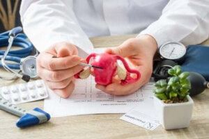 Allt du behöver veta om polyper i livmodern