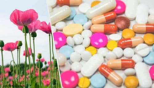 Smärtbehandling med opioider och vallmo