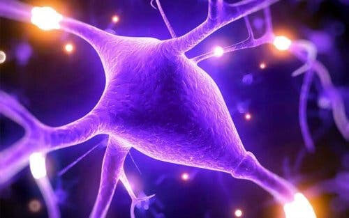 höga nivåer av magnesium: nerver