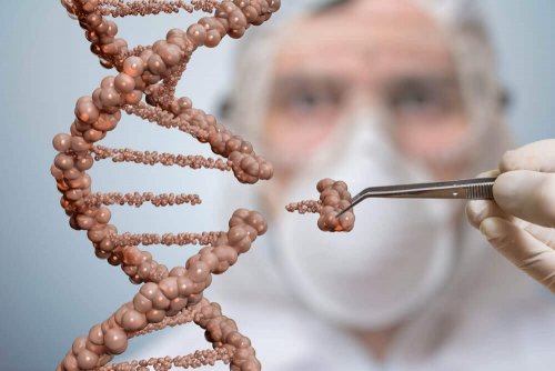 Doktor övar på att transplantera DNA.