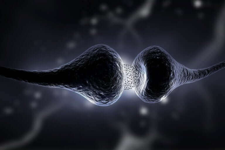Illustration av hur synapser kopplar ihop med varandra i hjärnan.
