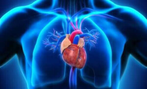 Perikardit - inflammation i hjärtsäcken