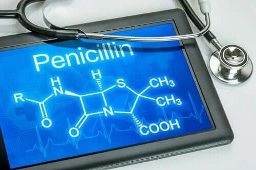 Hur penicillin fungerar i kroppen