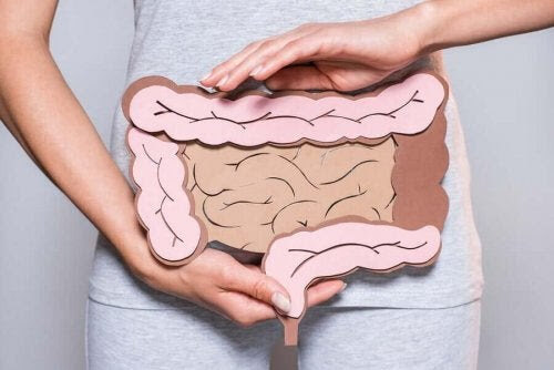 sund matsmältningshälsa: kvinna håller upp illustration av tarmar framför magen