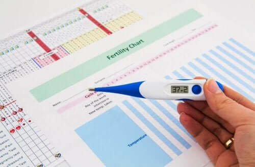 En fertilitetskalender under en febertermometer.
