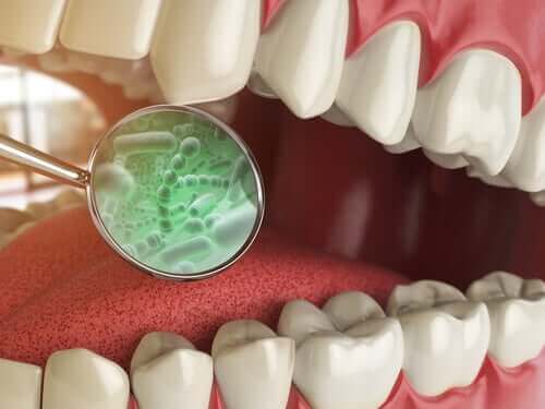 Bakterier i munnen – vilka olika sorter finns det?