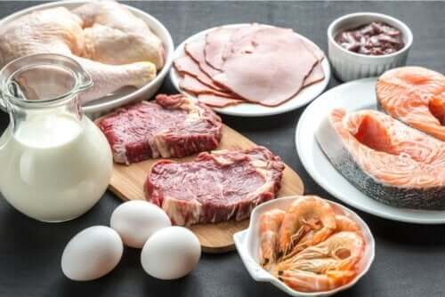 Olika animaliska protein upplagd på ett bord.