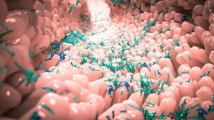 Vad är en normal bakterieflora?