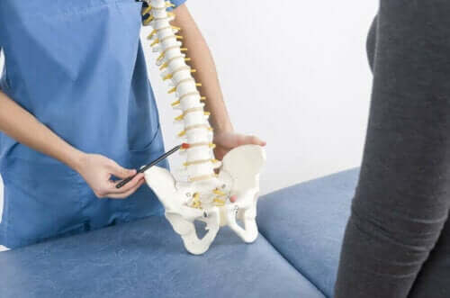 Skolios hos barn: Läkare visar en modell av ryggraden.