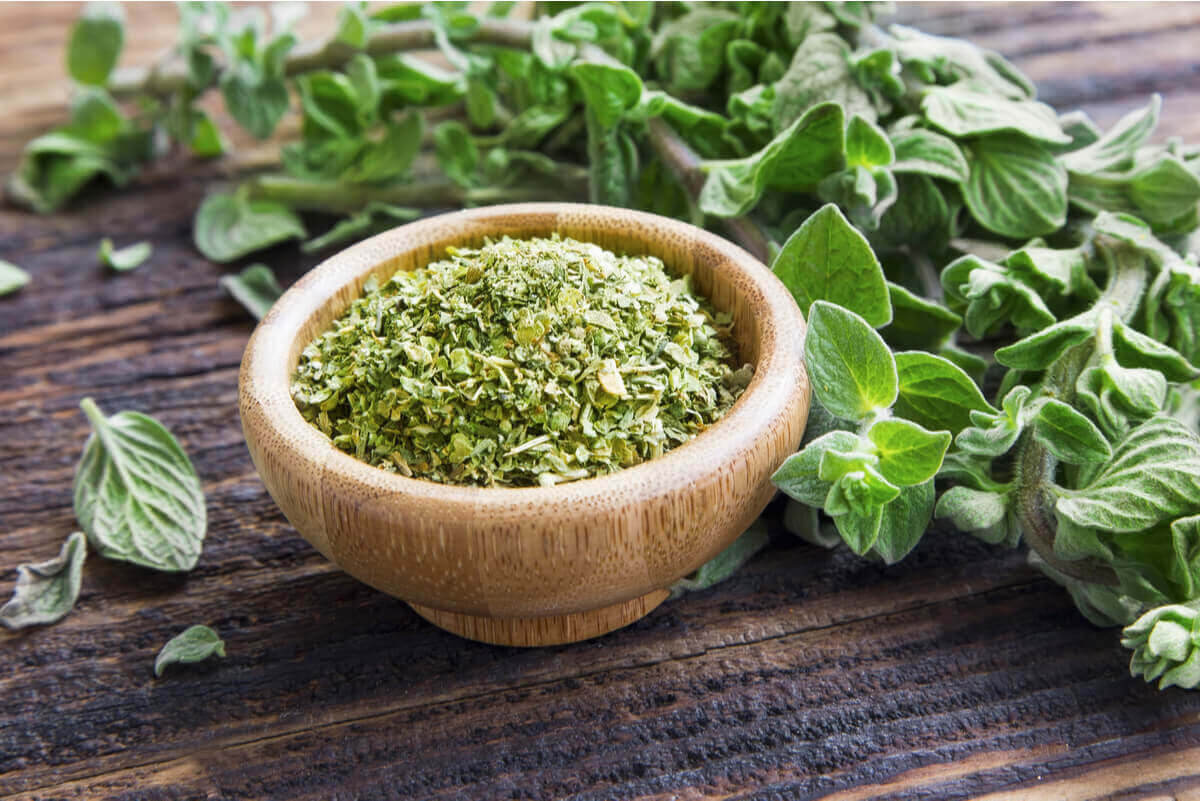 torkad och färsk oregano