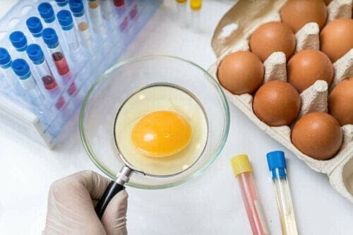 antalet fall av salmonella: ägg i laboratorium