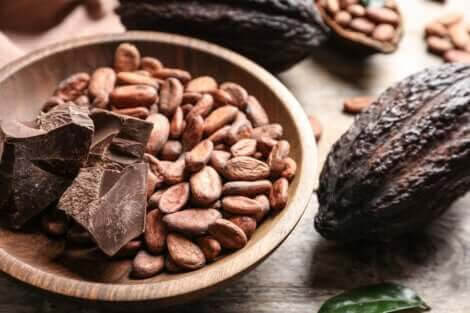 den nyttigaste chokladen: kakaobönor