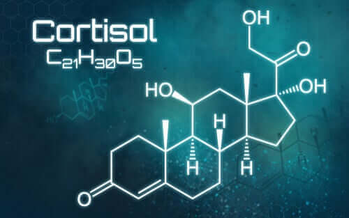 Överskott av kortisol: allt du behöver veta