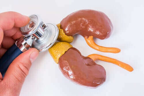 Stetoskop demonstrerar undersökning av binjurar.