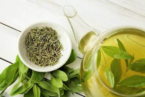 Visste du att grönt te förlänger livet?