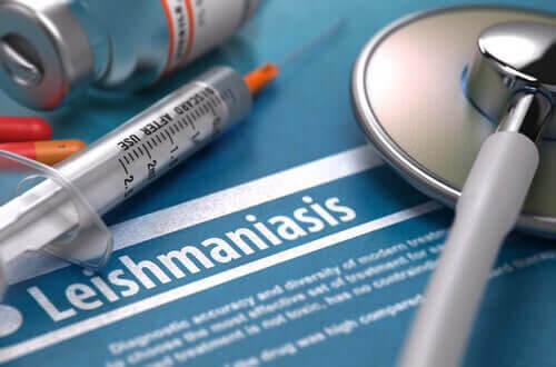 Är sjukdomen leishmaniasis smittsam?