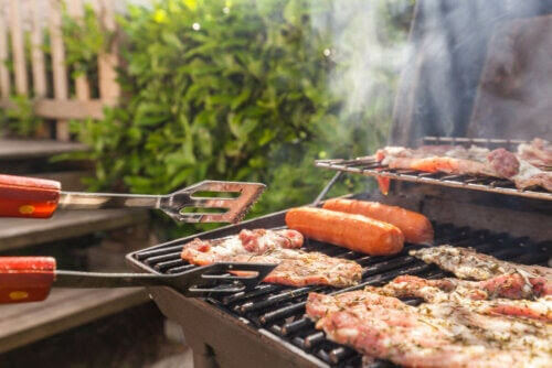 den karnivora dieten: grillar korv och annat kött