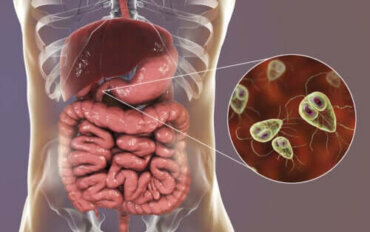 giardia parasit behandling