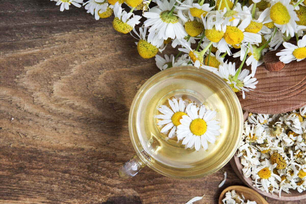 fördelar med kamomillte med blommor