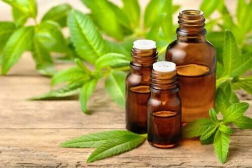 olja av medicinalväxten järnört