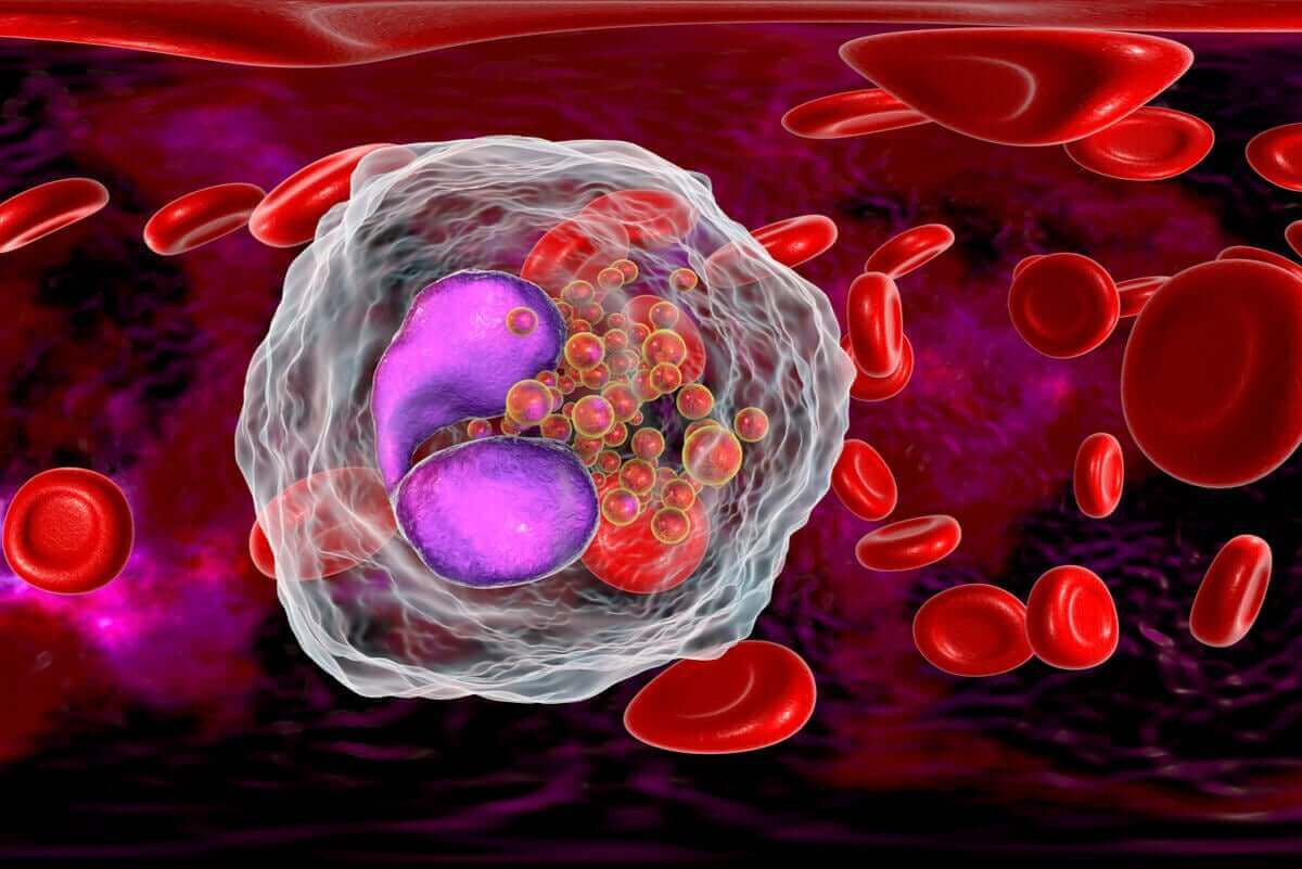 immuncell