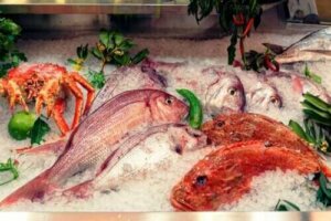 Allt om effekterna av kvicksilver från fisk