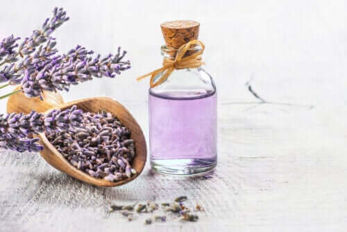 De 6 bästa medicinalväxterna som stöds av vetenskapen