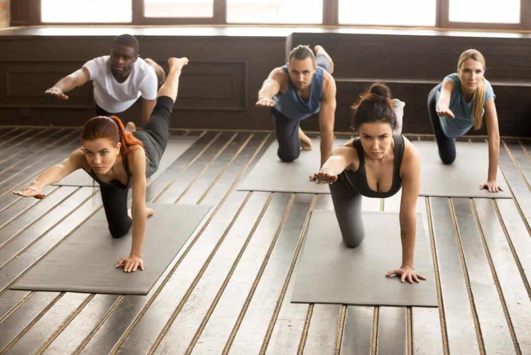 klass gör Yogaövningen fågelhunden