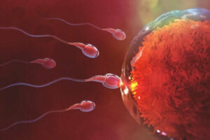 Hur lång tid tar det att bli gravid efter samlag?