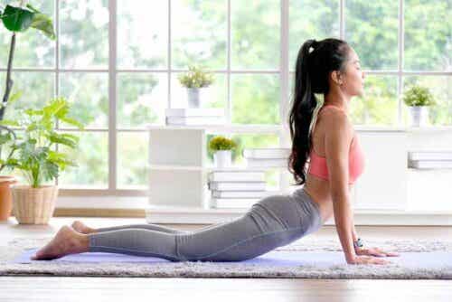 träna yoga för att lindra artros: kobran