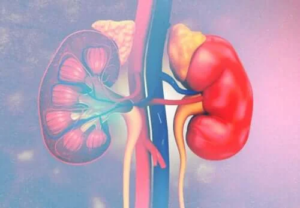 Medfött adrenogenitalt syndrom: Symptom, orsaker och behandlingar